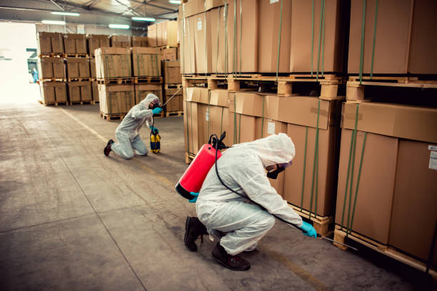 Best Best Pest Control Companies  in Bristol, TN