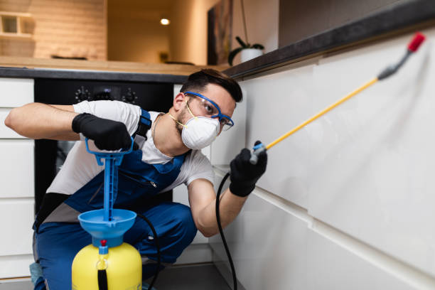 Best Mosquito Control Services  in Bristol, TN