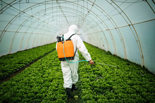 Best Affordable Exterminators  in Bristol, TN