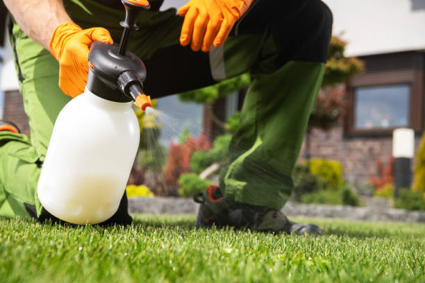 Best Emergency Pest Control  in Bristol, TN