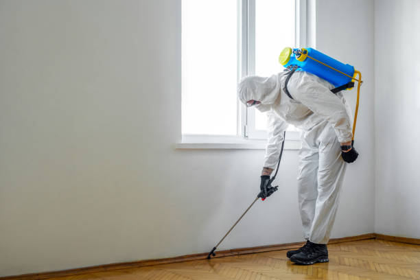 Best Exterminator Services  in Bristol, TN