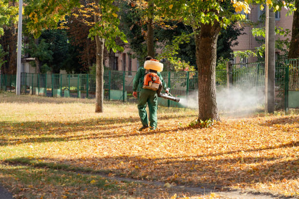 Best Best Pest Control Companies  in Bristol, TN