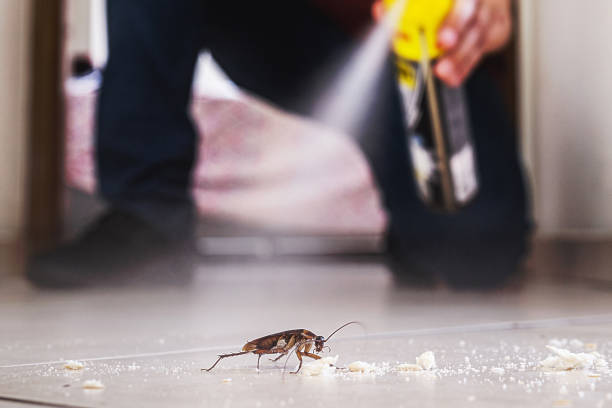 Best Termite Control Services  in Bristol, TN